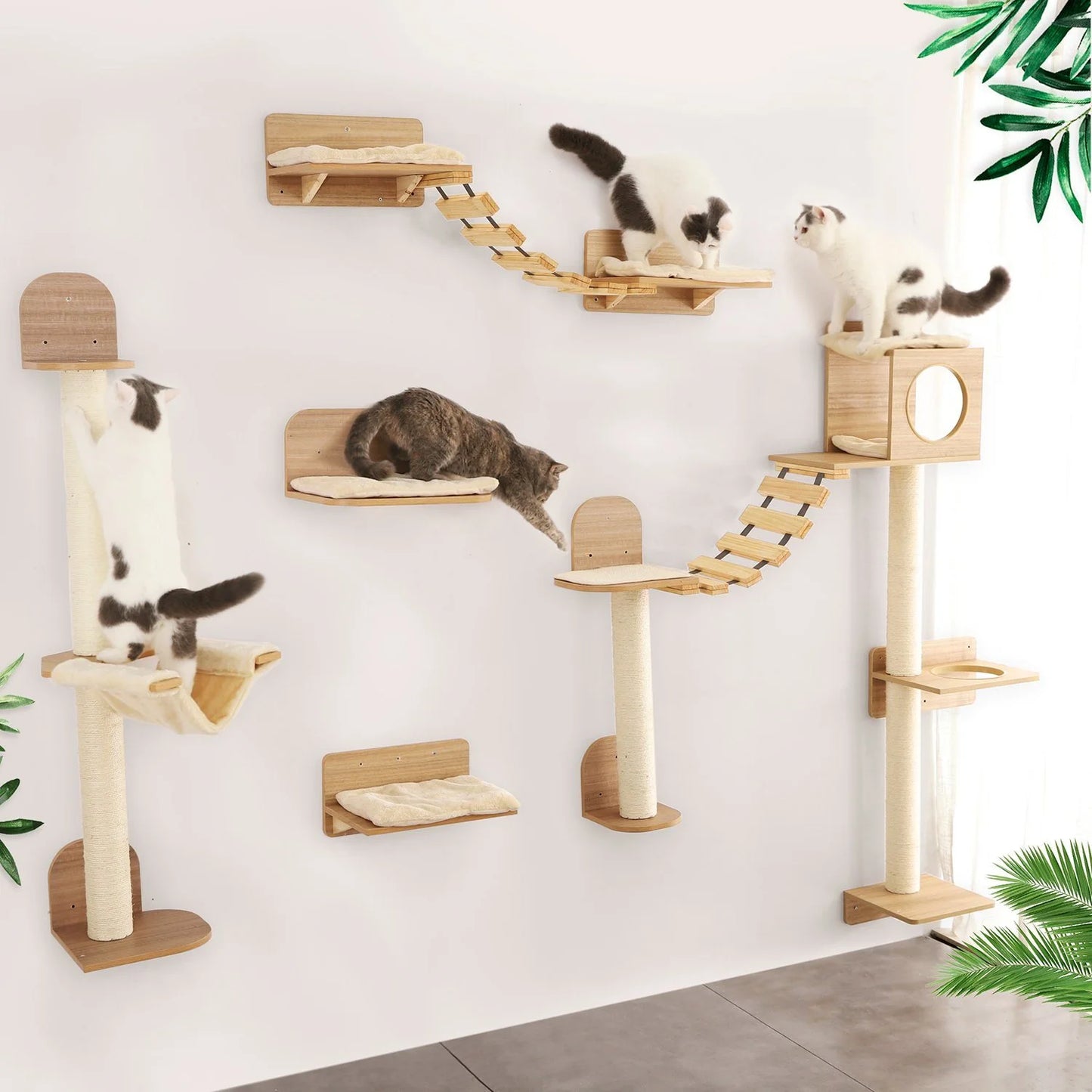 Wandmontage Klimtouw Kat | Sisal & Massief Hout | Krabben & Klimmen