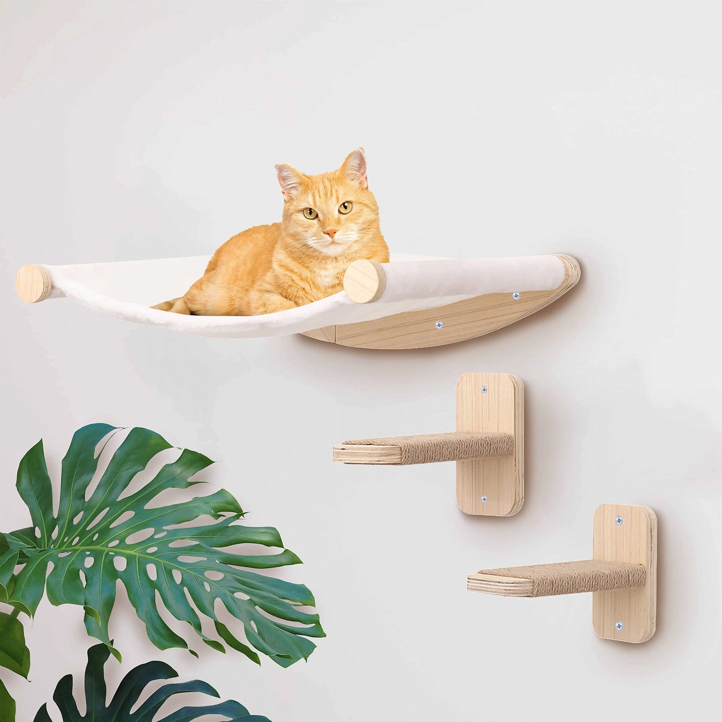 Wandmontage Klimtouw Kat | Sisal & Massief Hout | Krabben & Klimmen