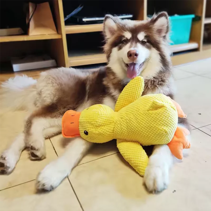Leuk hondenspeeltje: een stampende eend, bijtbestendig, tandenpoetsend, interactief speelgoed voor grote honden, tegen verveling. Pluche speeltje. 2