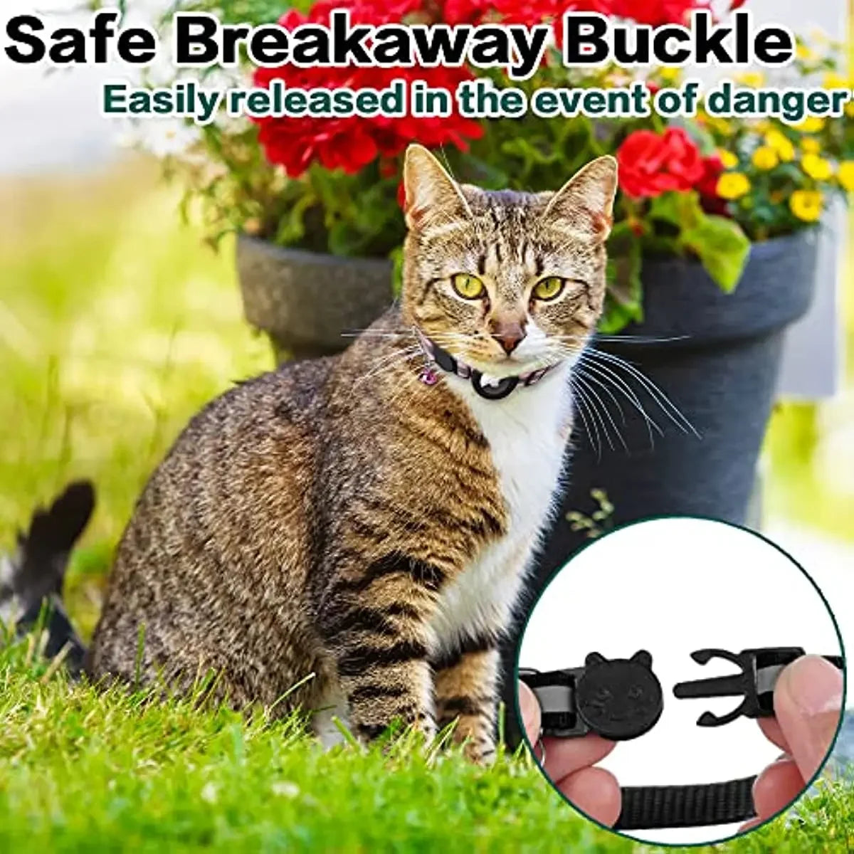 Kattenhalsband | Reflecterend & Belletje | Luchtlabelhouder | Verstelbaar