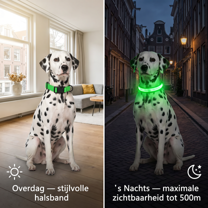 Lichtgevende halsband | USB oplaadbaar | Veilig buiten