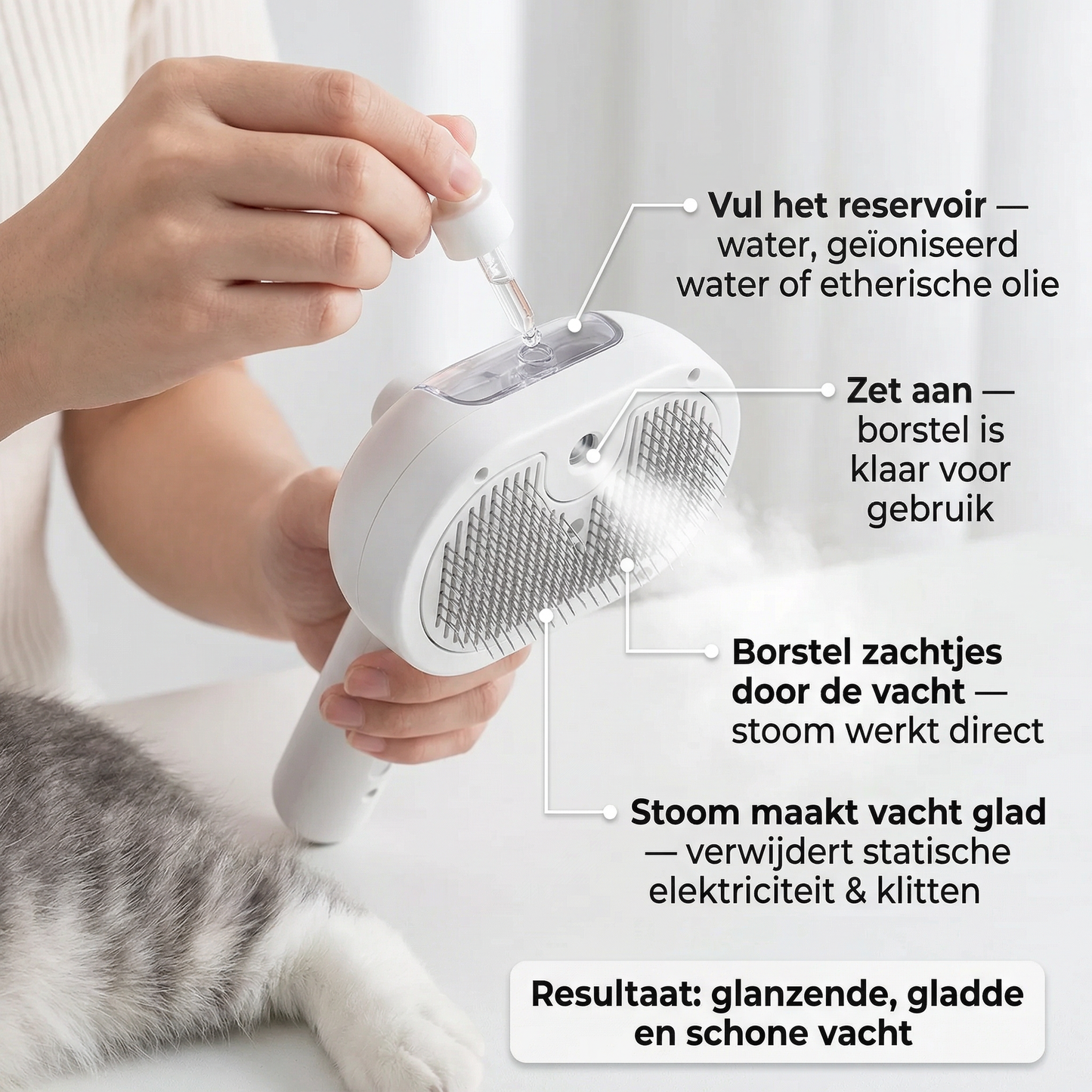Stoomborstel Kat | 3-in-1 Verzorging | Borstelen + Masseren + Ontharen