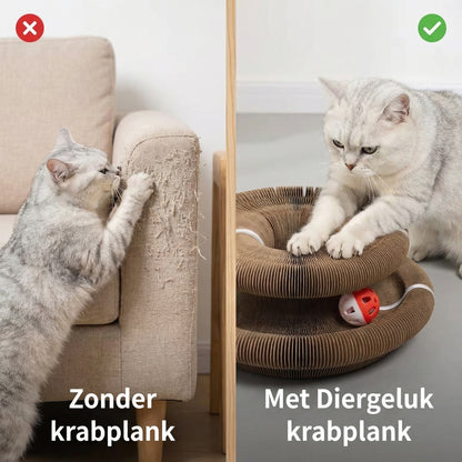 Krabplank met Speelbal | Gegolfd Karton | Krabben + Spelen in één