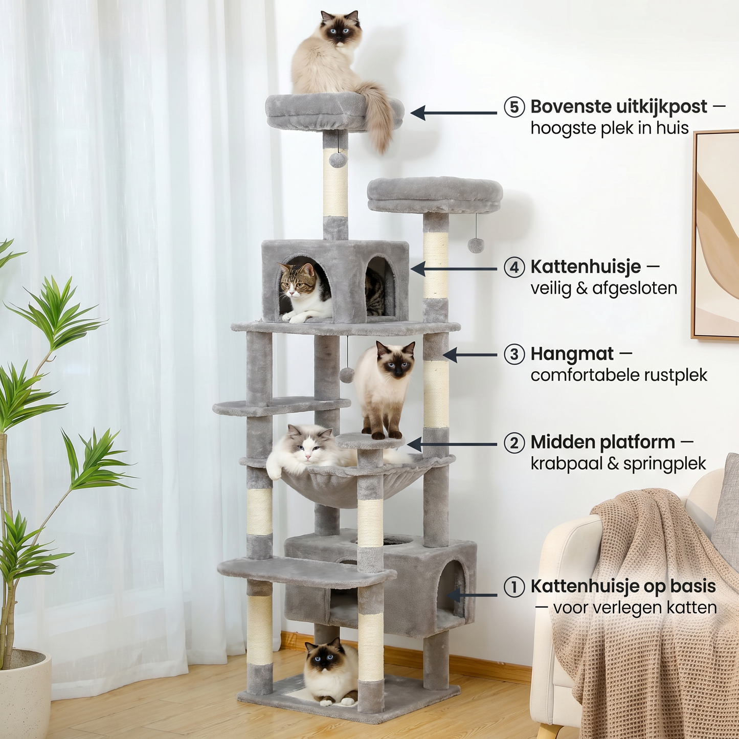 Grote Kattentoren | Sisal | Hangmat & Huisjes | 3 Maten