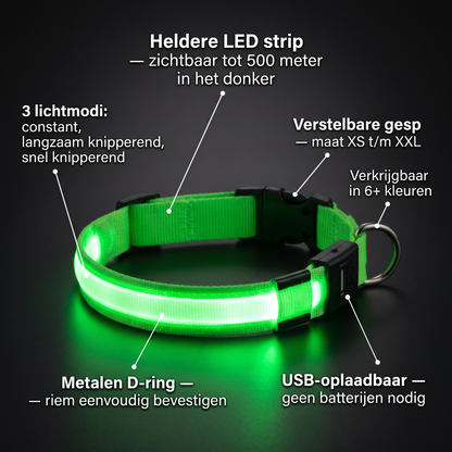 Lichtgevende halsband | USB oplaadbaar | Veilig buiten
