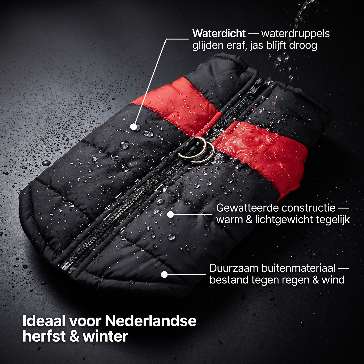 Hondenjas | Waterdicht & Warm | Rits | Klein t/m Groot