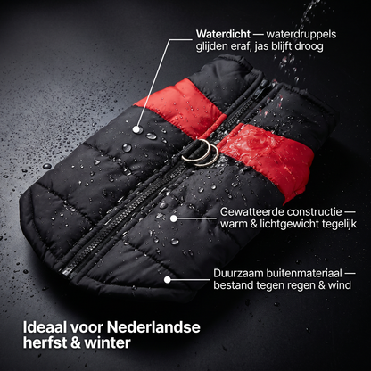 Hondenjas | Waterdicht & Warm | Rits | Klein t/m Groot