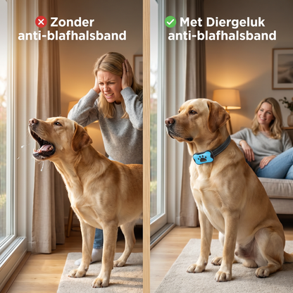 Anti-Blafhalsband Hond | Ultrasoon & Vibratie | USB Oplaadbaar | Zonder Schok