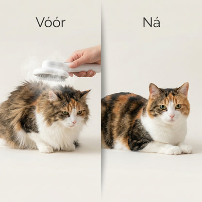 Stoomborstel Kat | 3-in-1 Verzorging | Borstelen + Masseren + Ontharen